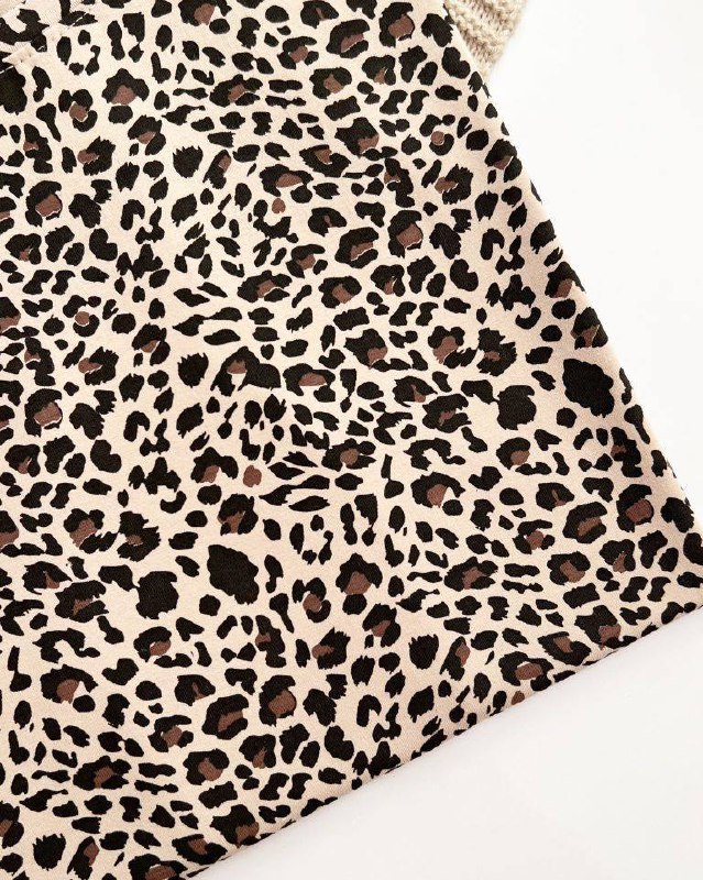 photo_5900031046382718181_x