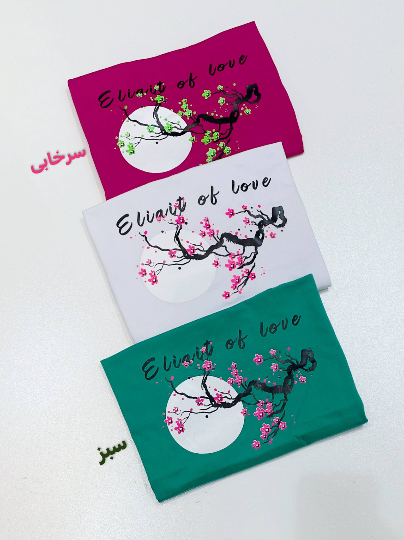 photo_3_2025-12-29_15-20-08