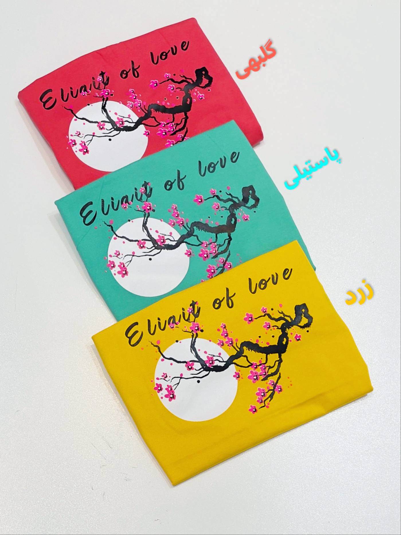 photo_4_2025-12-29_15-20-08