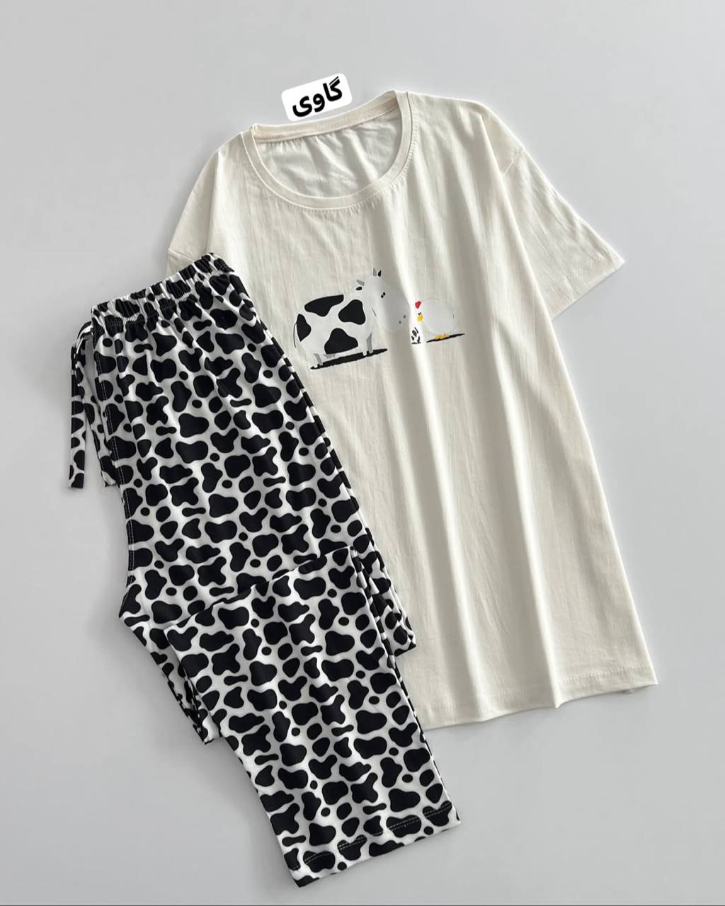 photo_1_2026-02-01_13-15-44