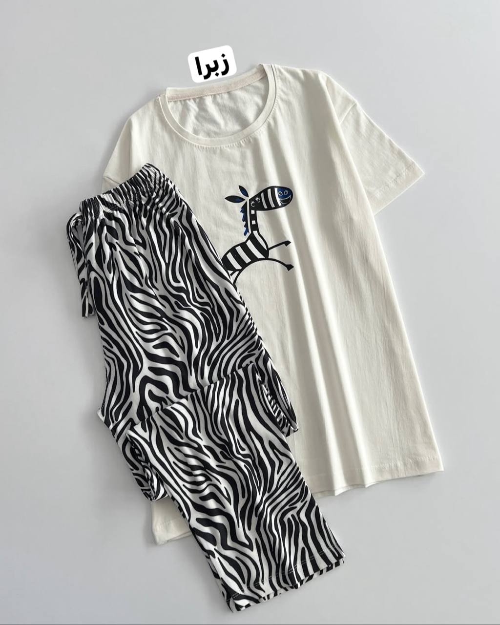 photo_5_2026-02-01_13-15-44