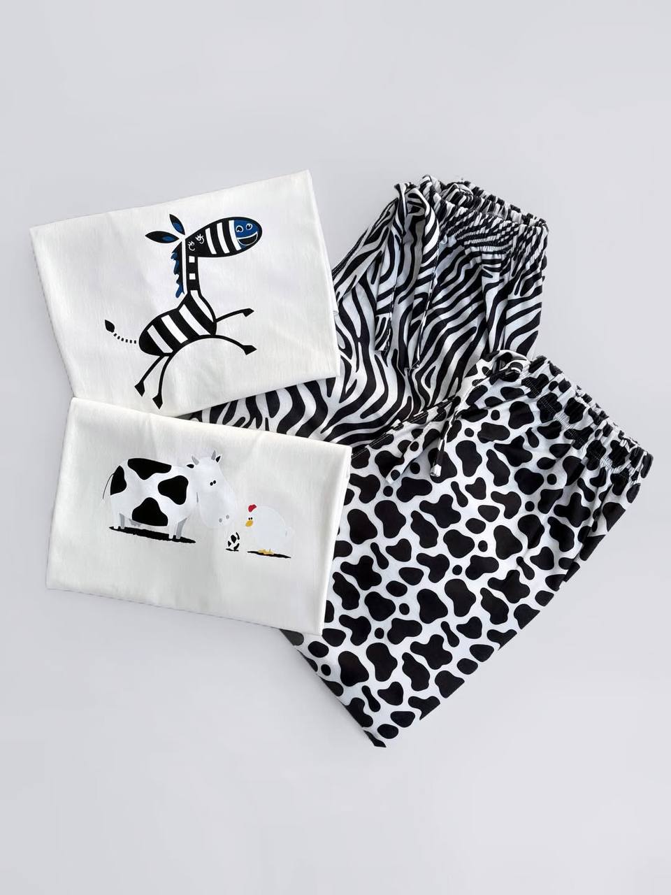 photo_6_2026-02-01_13-15-44